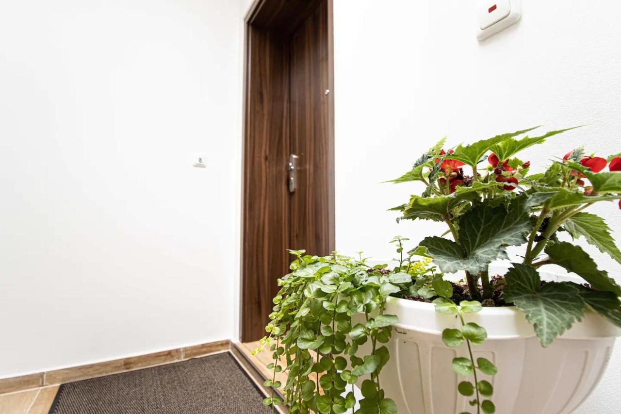 468 Plagwitz Apartment Kulturviertel 라이프치히 외부 사진
